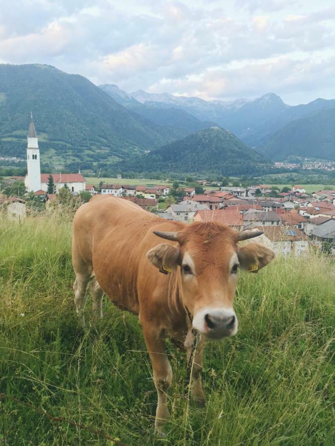 Appartamento Hisa Bubi Tolmin Esterno foto